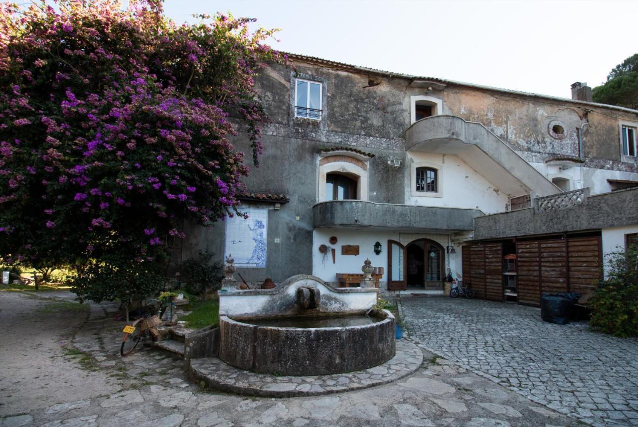 Quinta De Rio Alcaide Villa Porto de Mos  Exterior photo